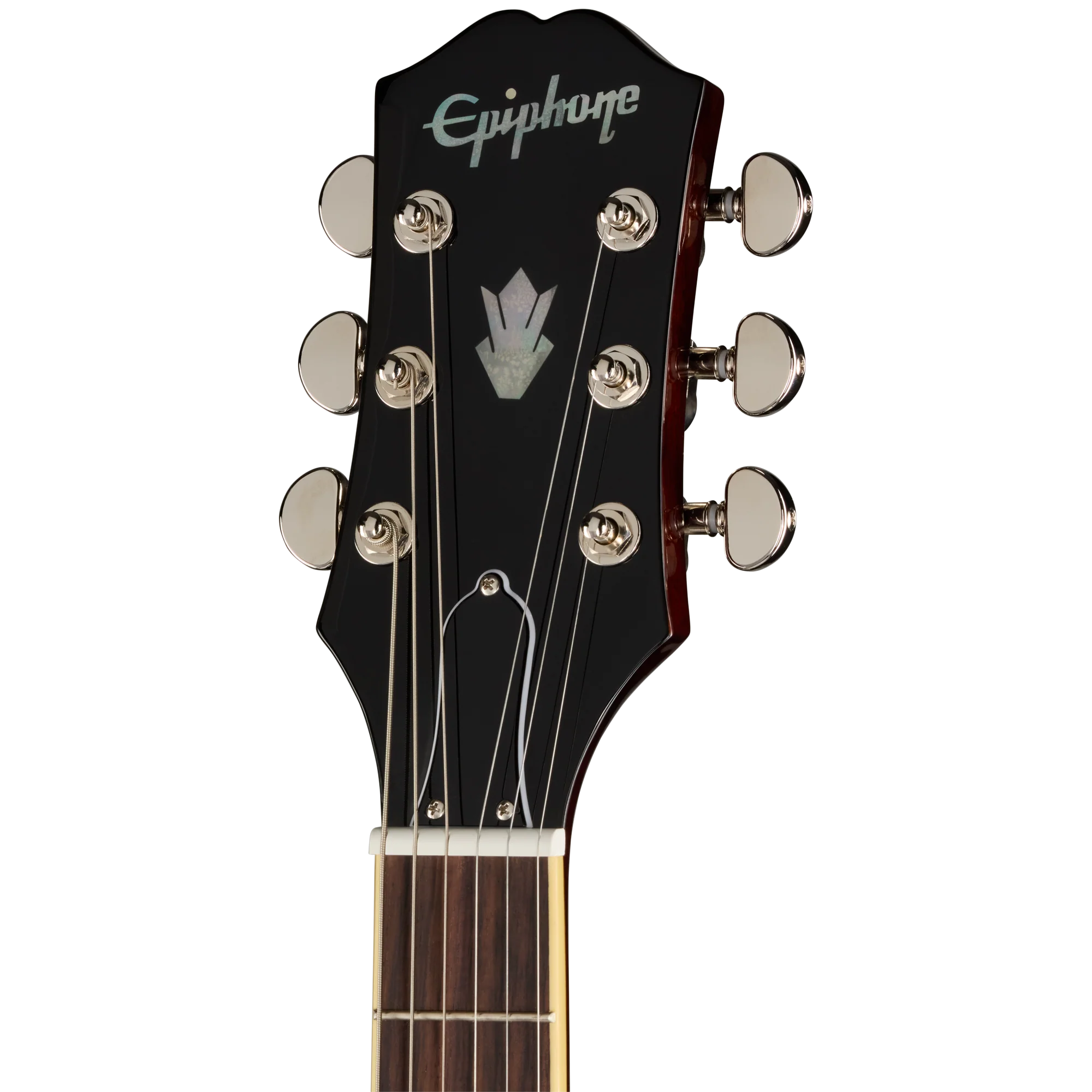 Epiphone ES-335, Dark Walnut, Exclusive - Image 5