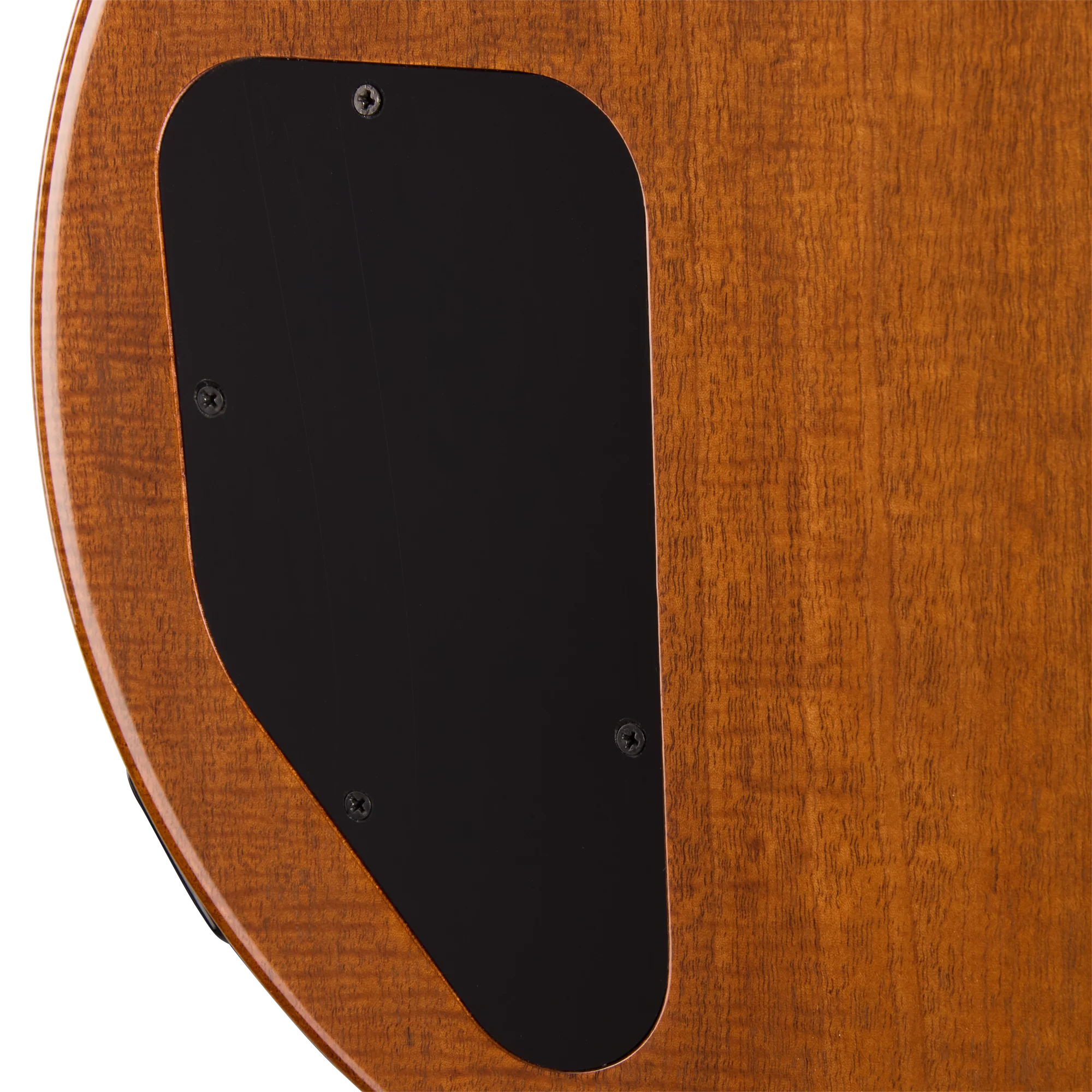 Gibson Mod™ Collection Les Paul Special Double Cut Figured, Paradise - Image 19